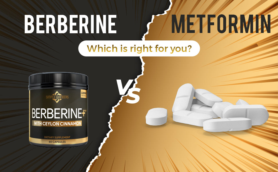 Berberine vs Metformin - Which is right for you?