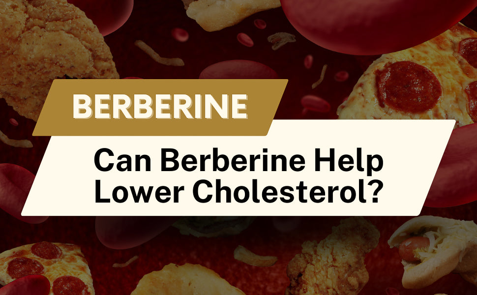 Can Berberine Help Lower Cholesterol?